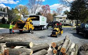 Morgandale, OH  Tree Services Company